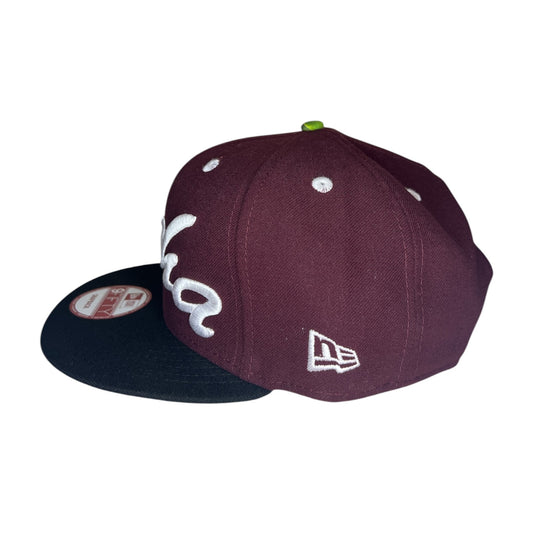 Fitted Hawaii Aloha Snapback