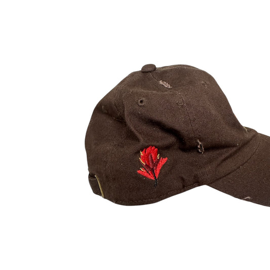 Downtown clowns dad hat