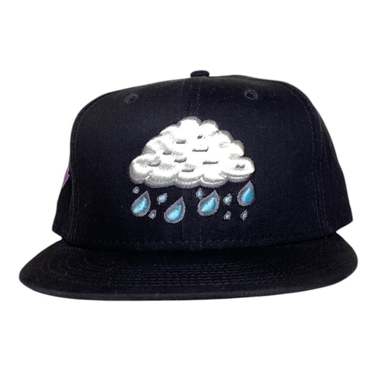 Save For A Rainy Day Project Society snapback